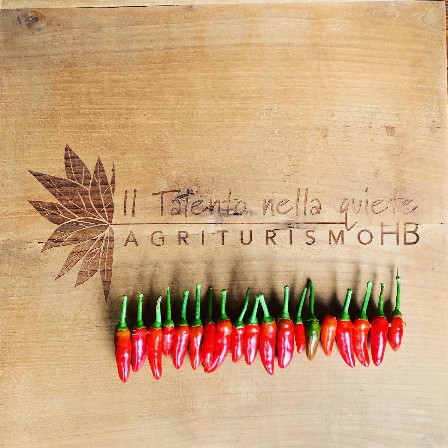 Agriturismo Il Talento Nella Quiete Castiglione d'Intelvi Luaran gambar