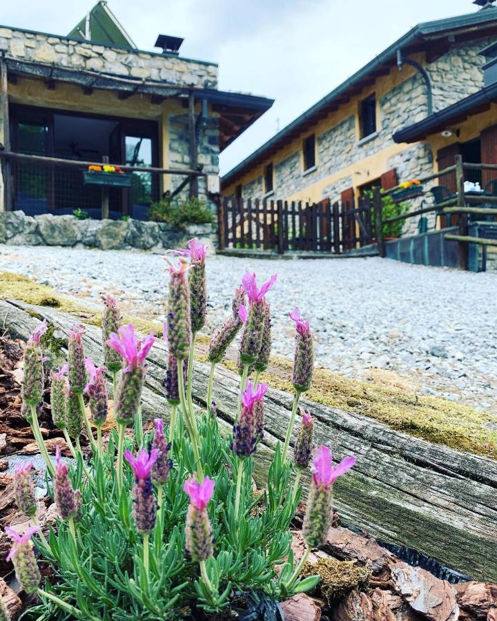Agriturismo Il Talento Nella Quiete Castiglione d'Intelvi Luaran gambar
