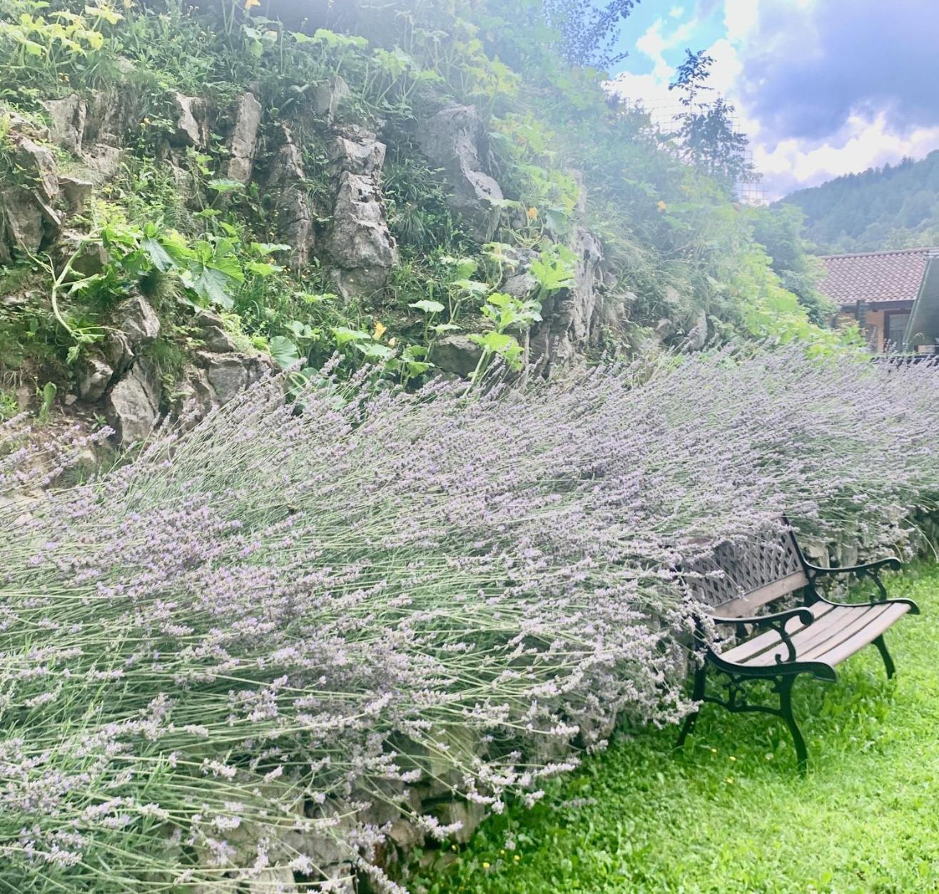 Agriturismo Il Talento Nella Quiete Castiglione d'Intelvi Luaran gambar
