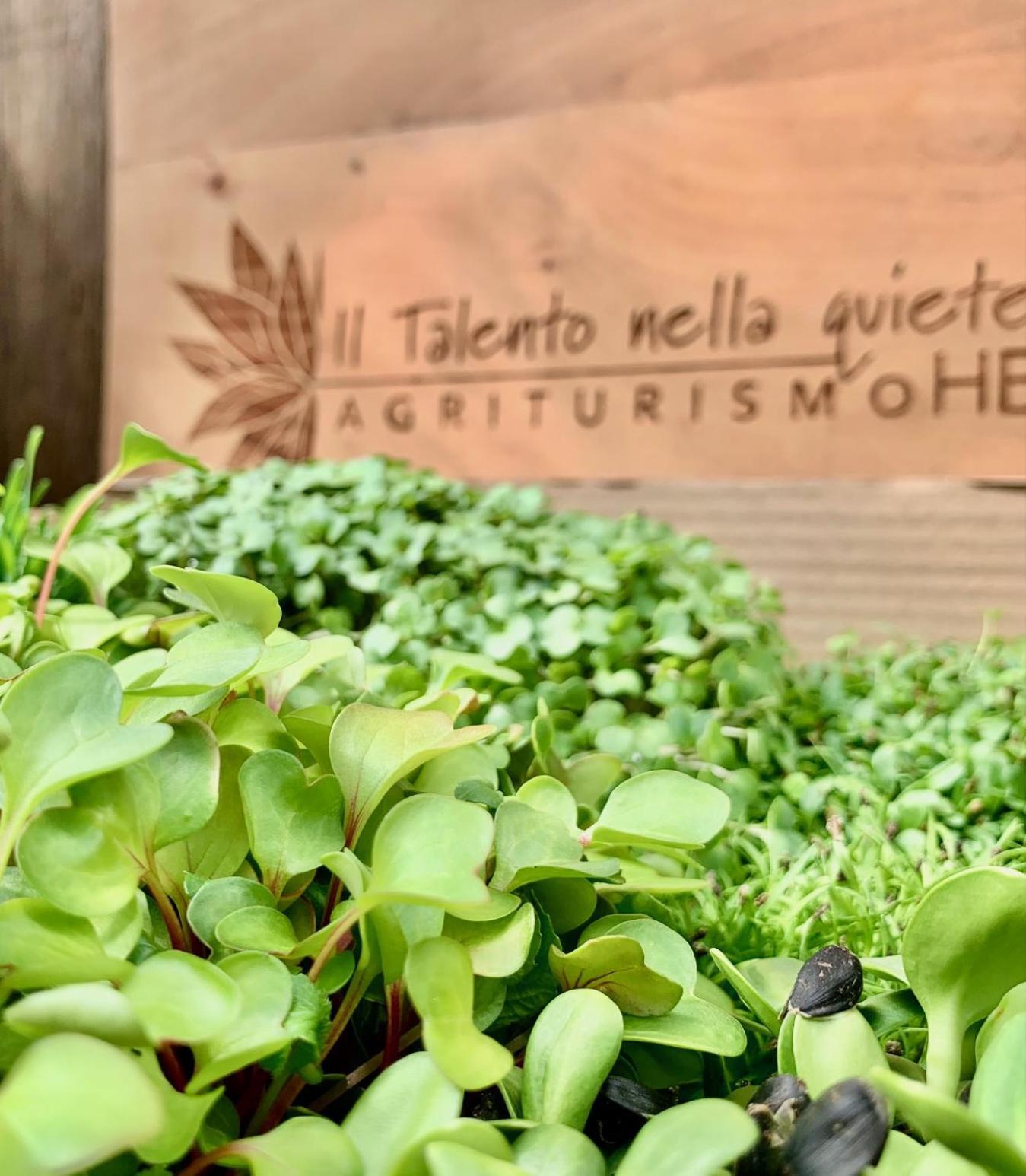 Agriturismo Il Talento Nella Quiete Castiglione d'Intelvi Luaran gambar
