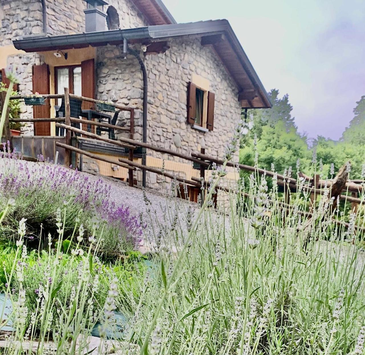 Agriturismo Il Talento Nella Quiete Castiglione d'Intelvi Luaran gambar
